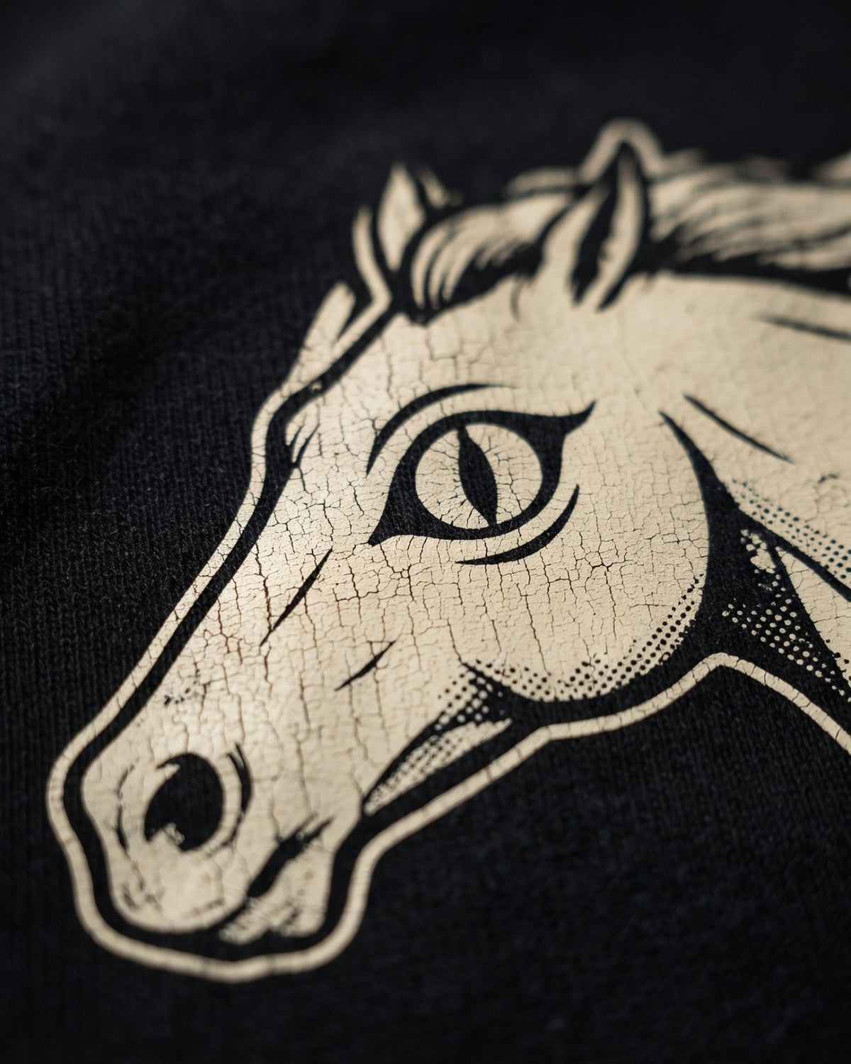 Close-up of the slit-pupil horse eye print